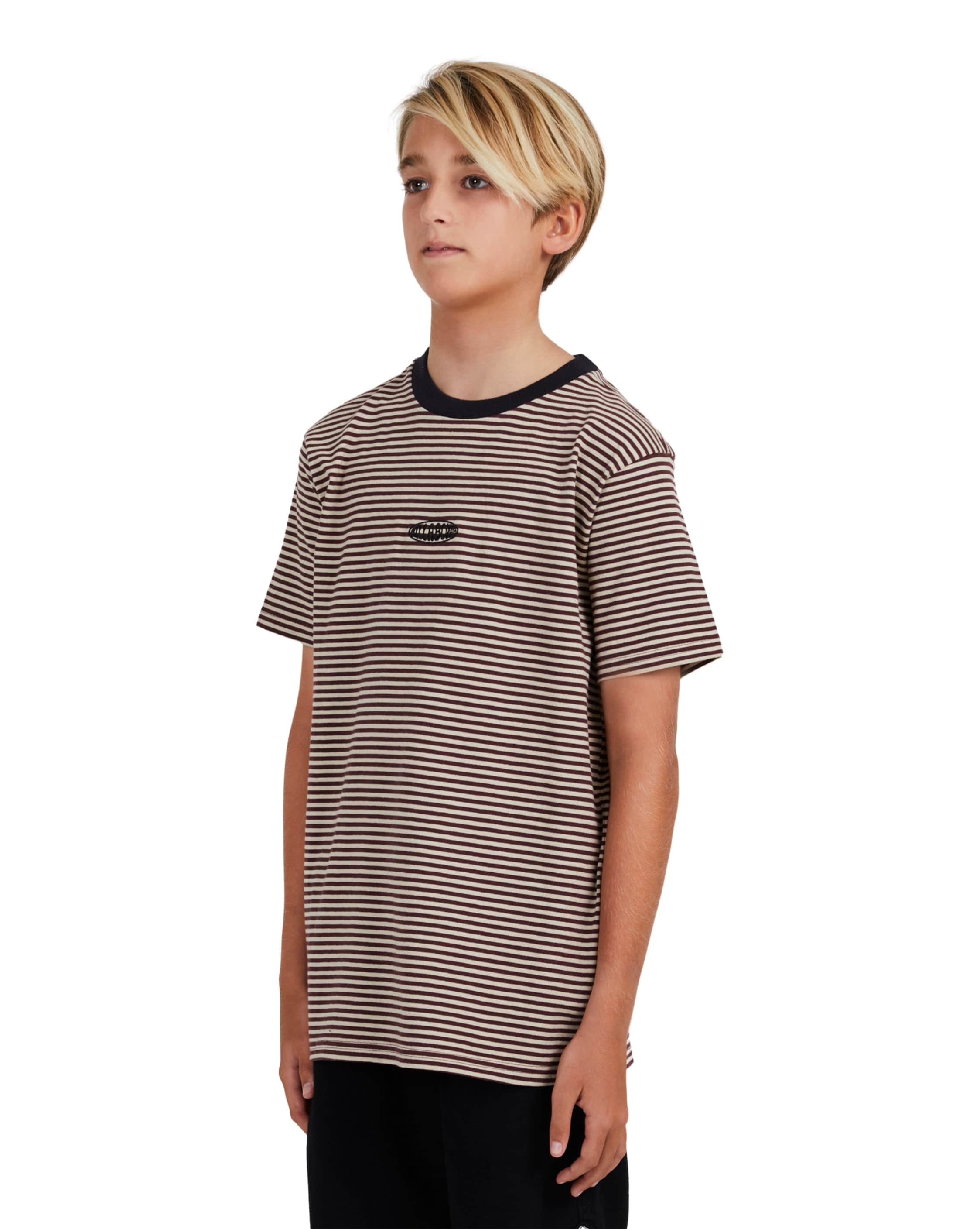 Boys Absense Stripe Short Sleeve T-Shirt