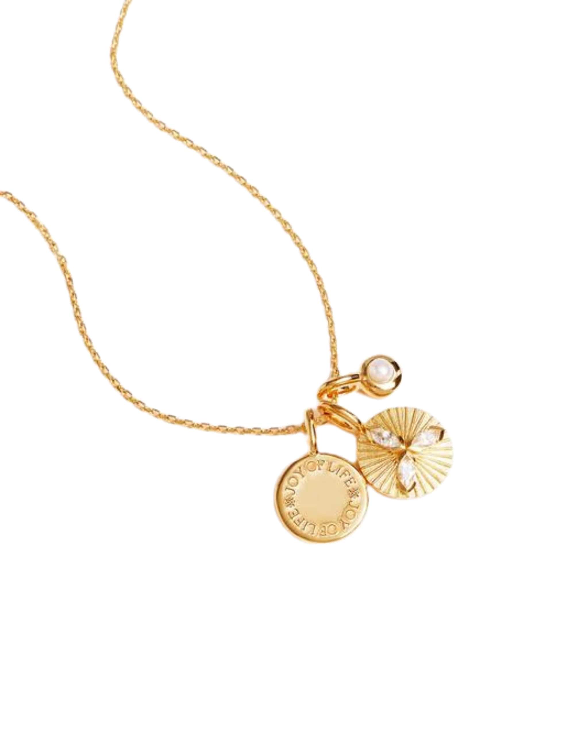 By Charlotte 18k Gold Vermeil Joy Necklace