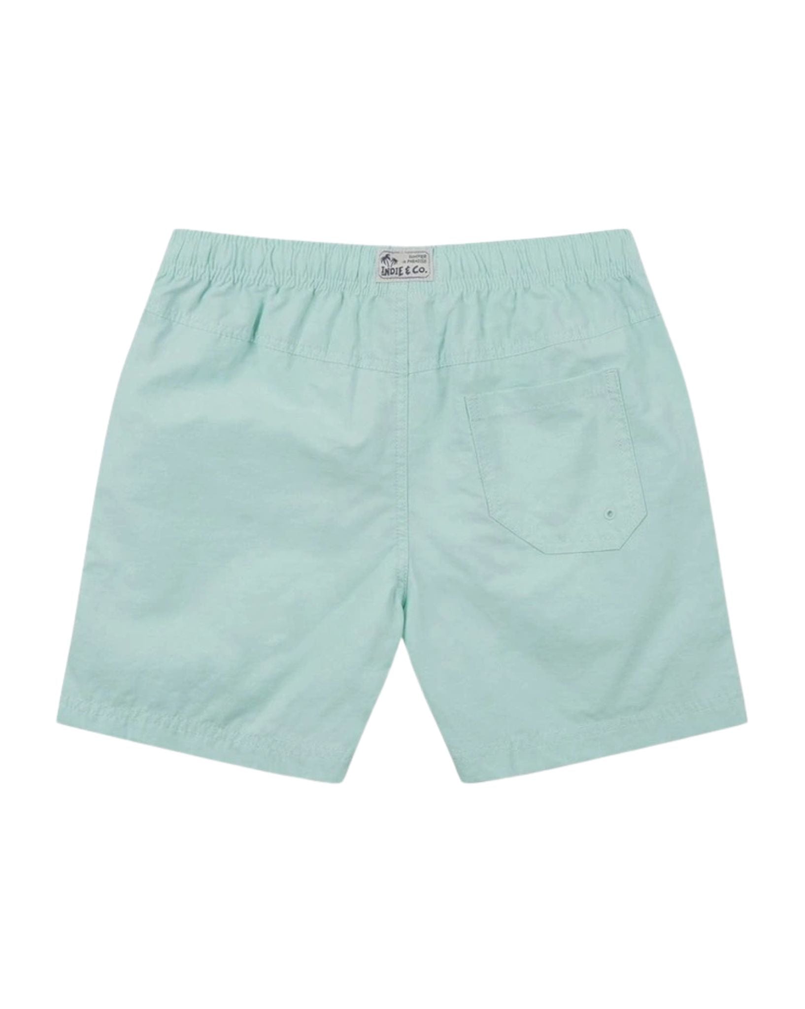 Industrie The All Day Swim Trunk