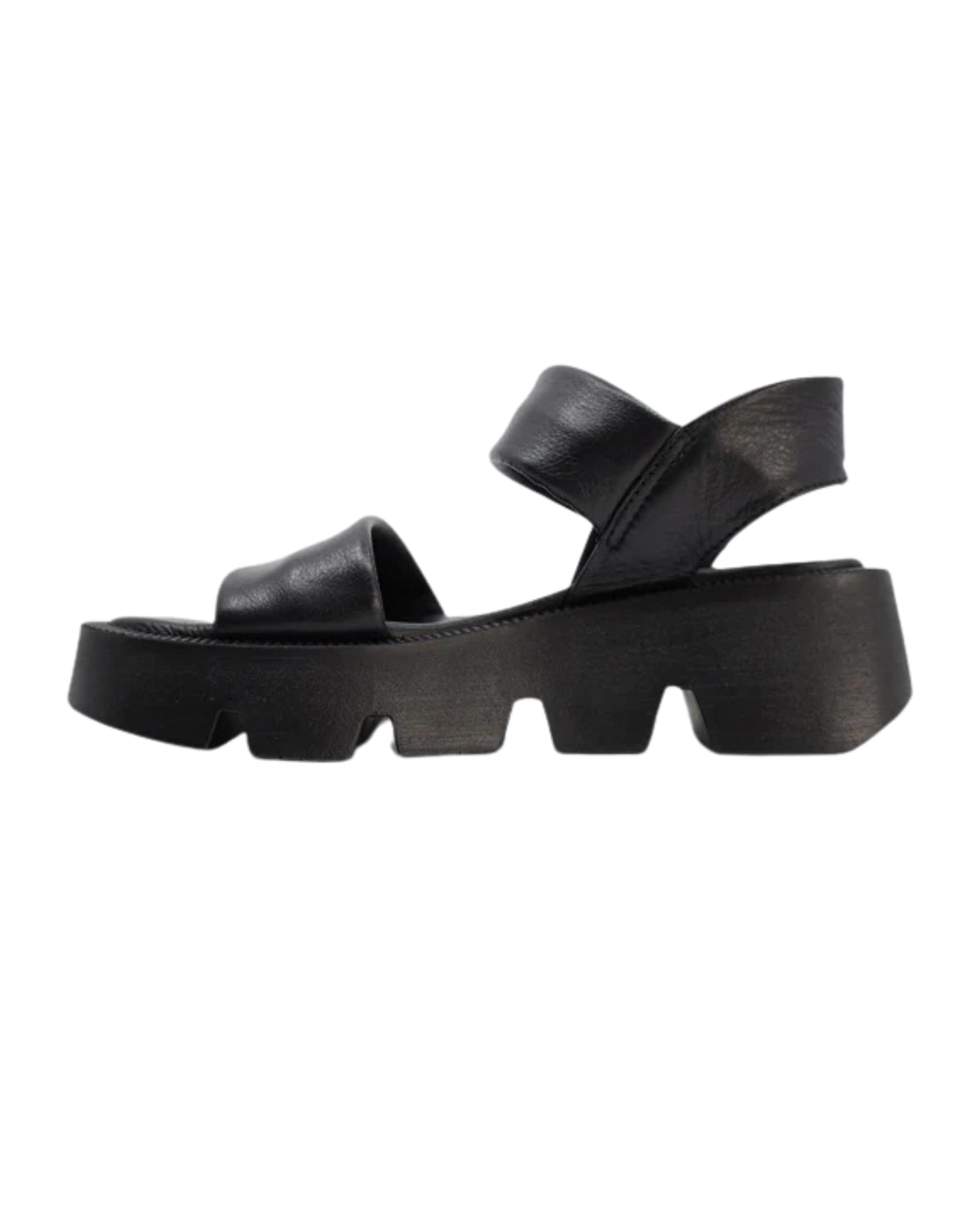 Luna Sole Novi Sandals