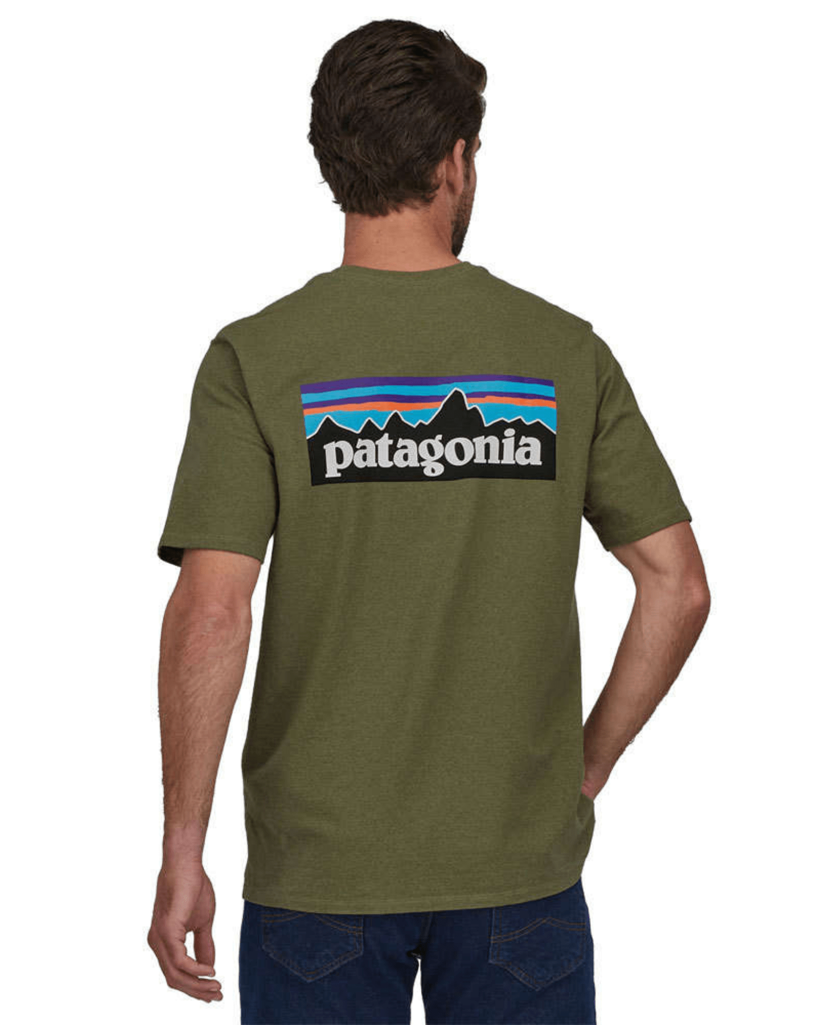 Patagonia Men's P-6 Logo Responsibili-Tee - Wyoming Green