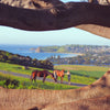 Natural Necessity Surf Shop Gerringong Walk Through