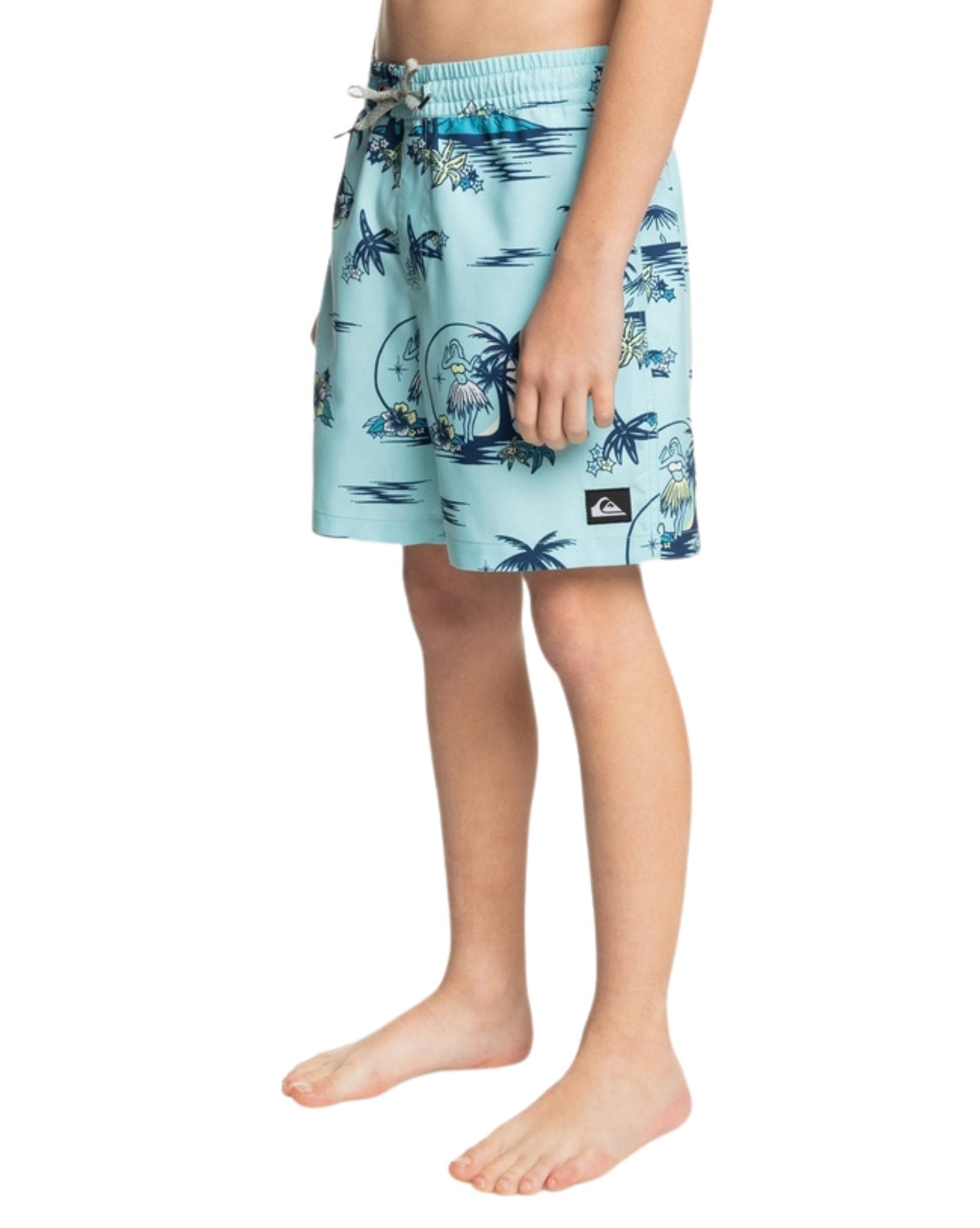 Quiksilver Boys Everyday Mix Volley Yth 14 Boardshort