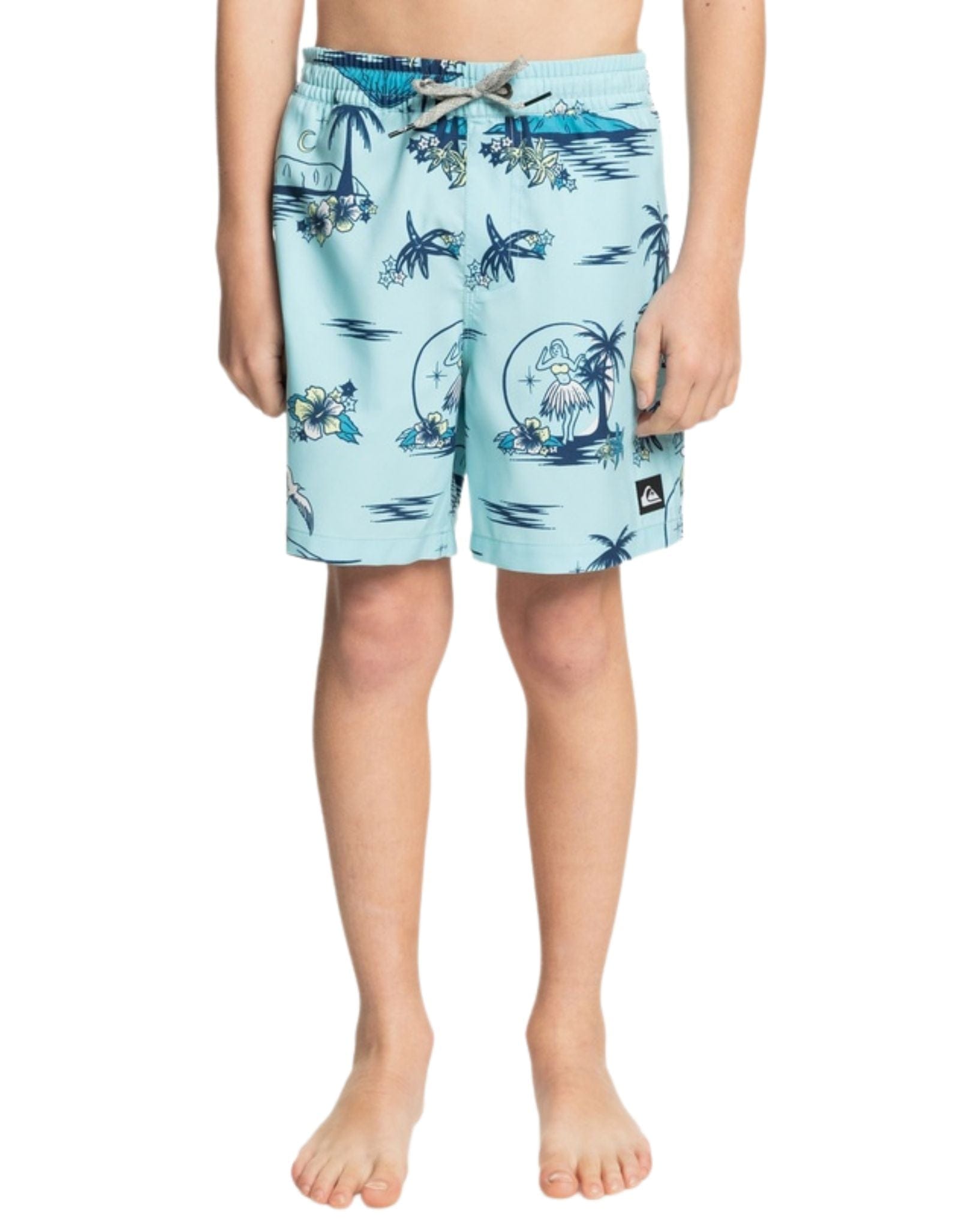 Quiksilver Boys Everyday Mix Volley Yth 14 Boardshort