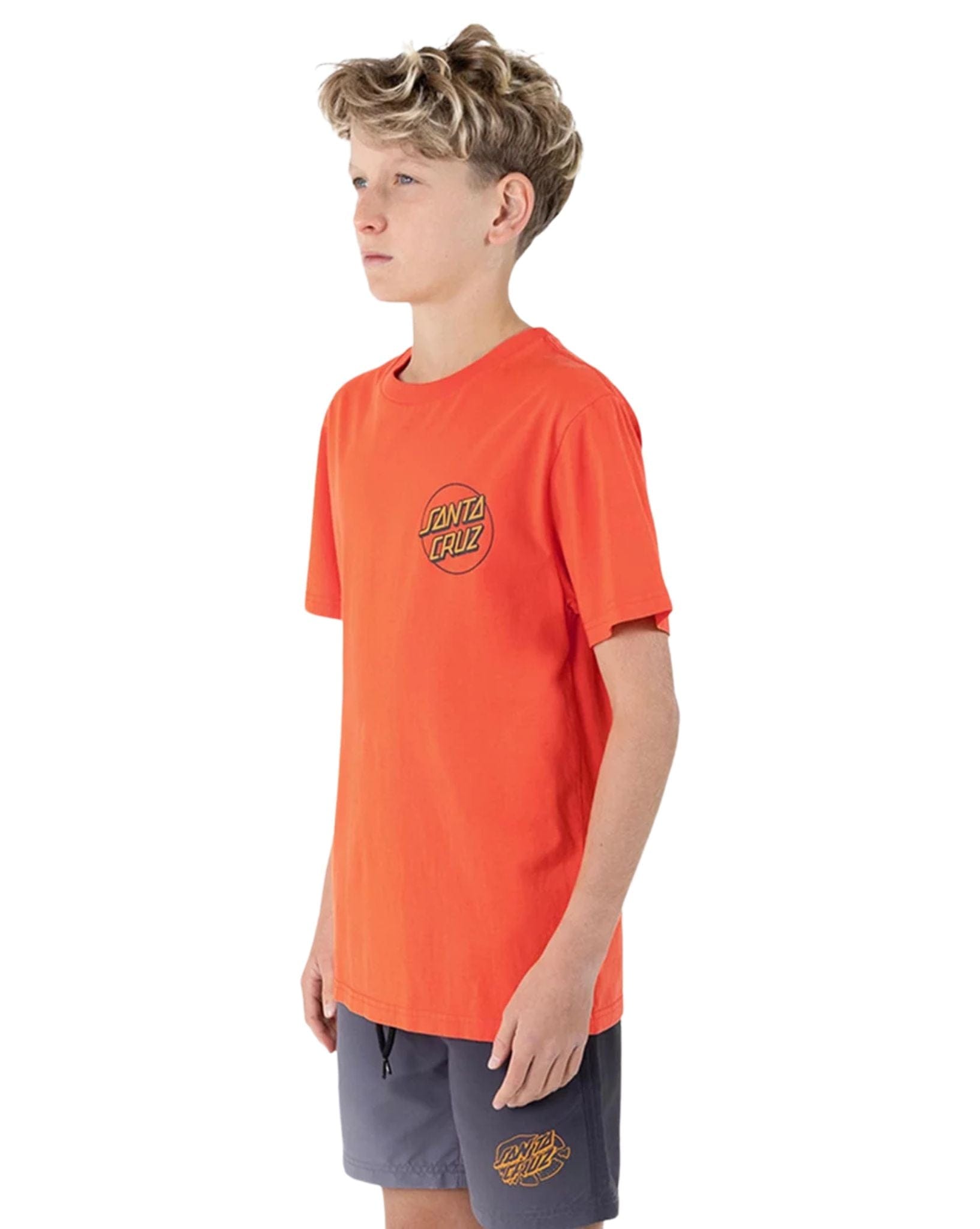 Santa Cruz Boys Opus Grip Dot Tee