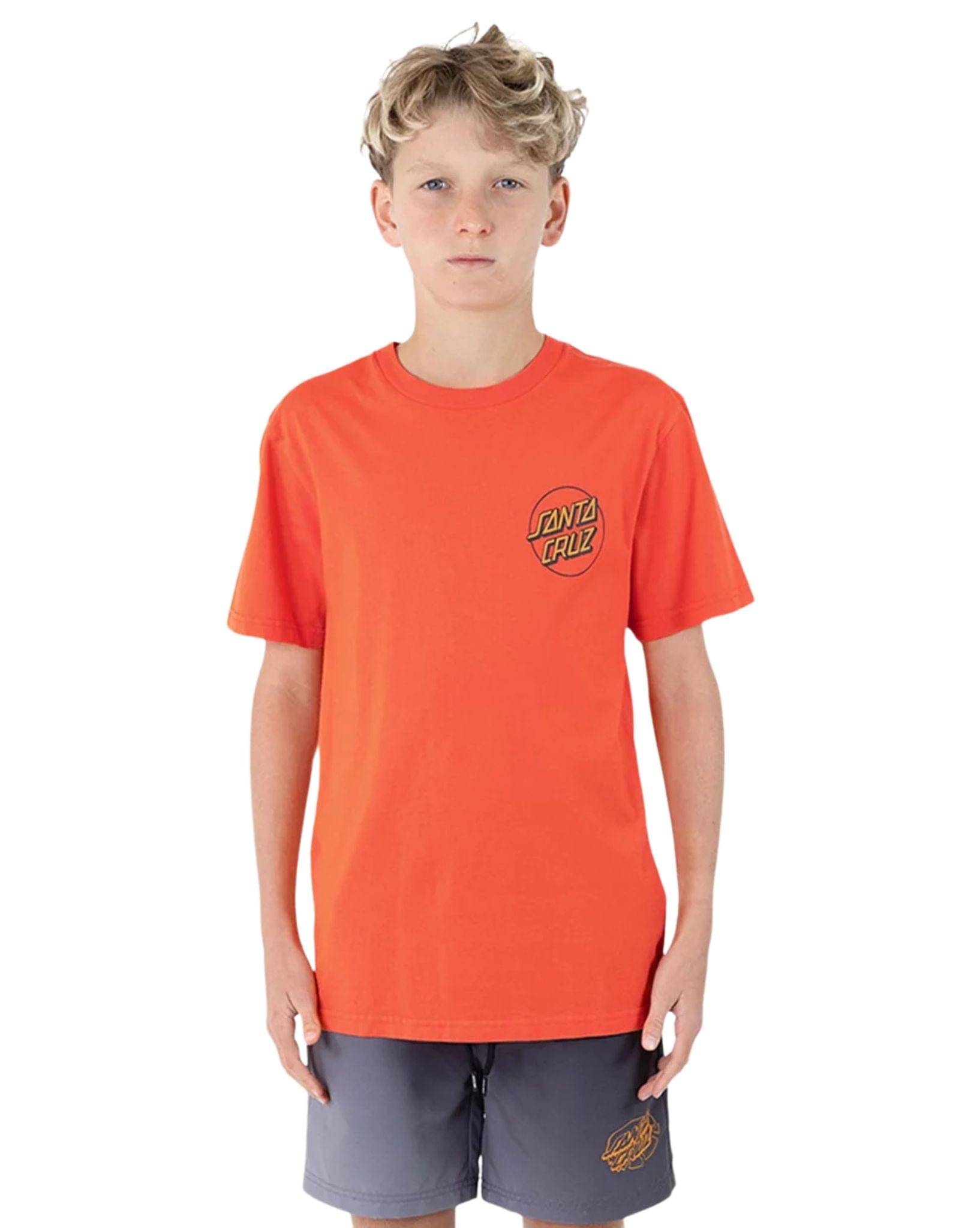 Santa Cruz Boys Opus Grip Dot Tee