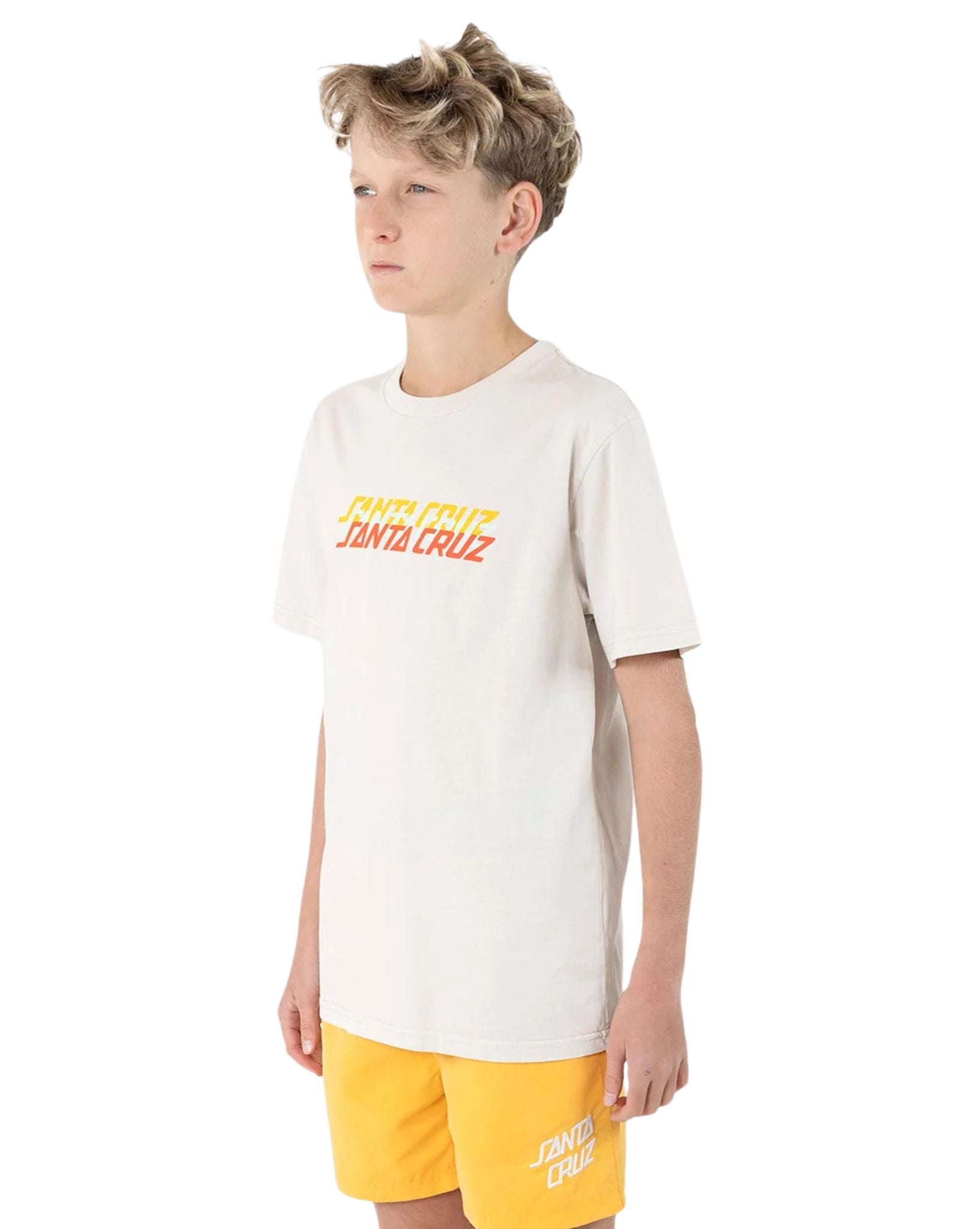 Santa Cruz Boys Sc Triple Threat Front Tee