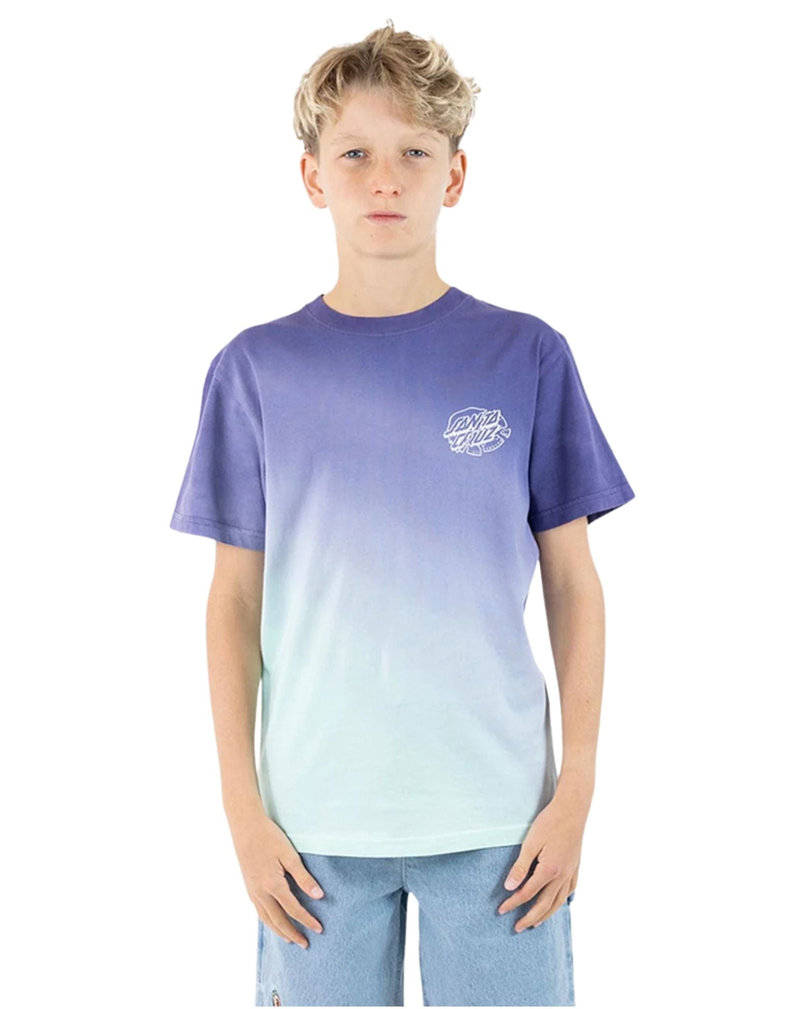 Santa Cruz Boys Universal Hand Oval Dot Mono Tee