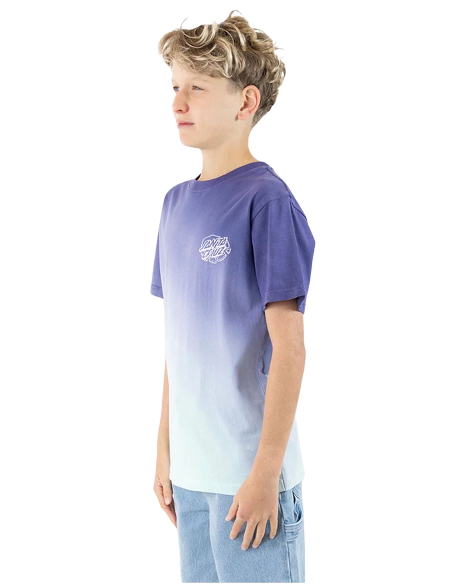 Santa Cruz Boys Universal Hand Oval Dot Mono Tee