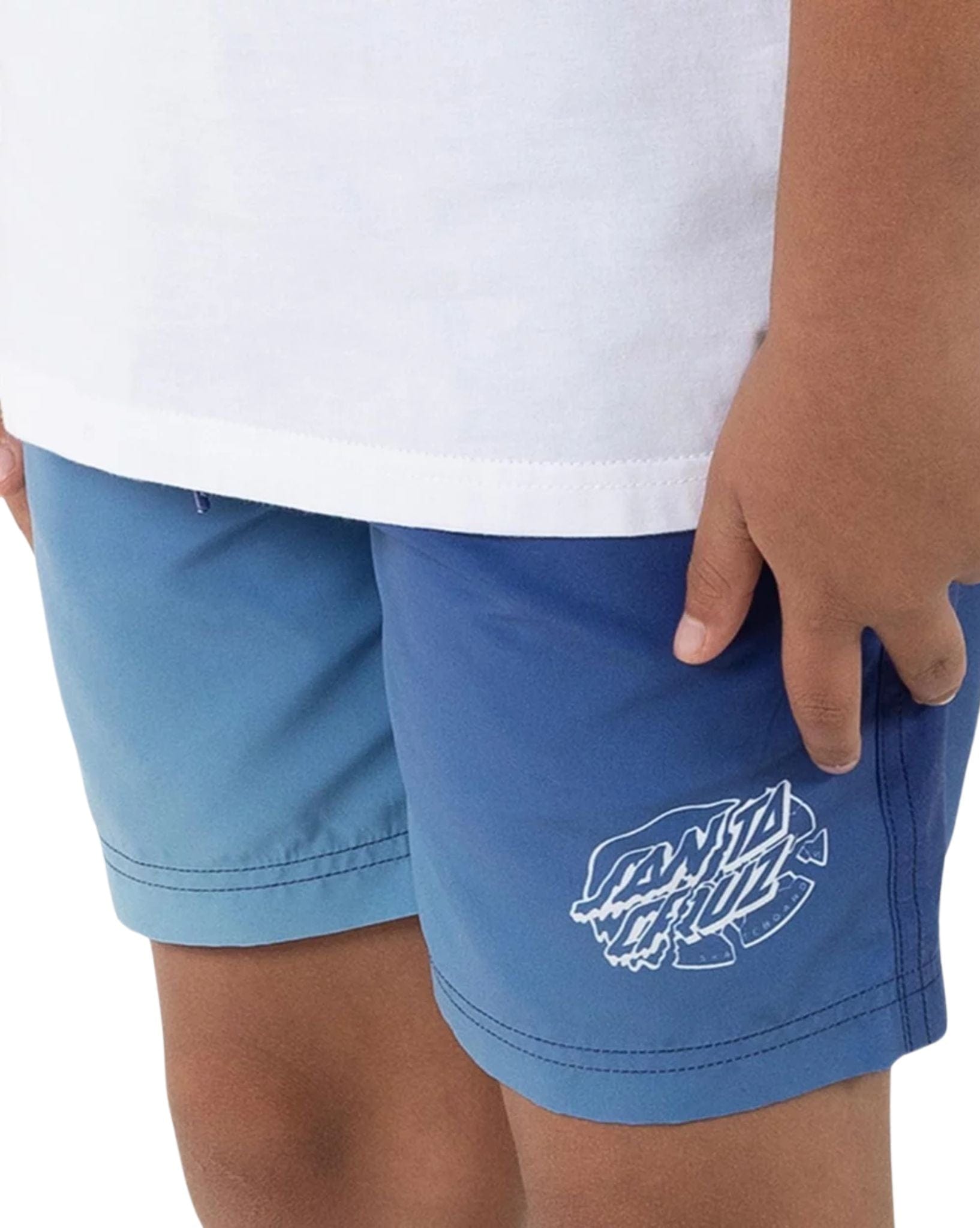 Santa Cruz Boys Universal Oval Dot Boardshort