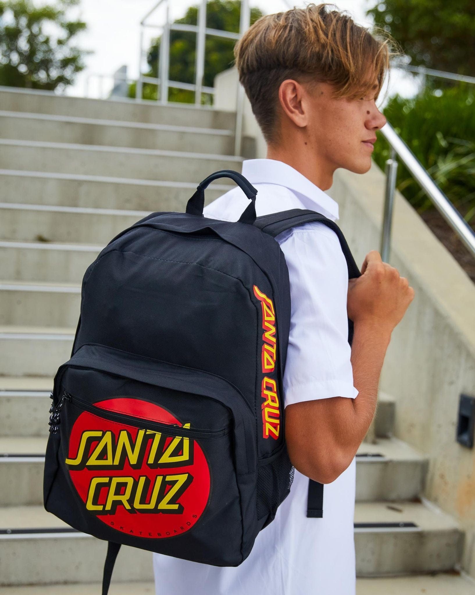 Santa Cruz Classic Dot Backpack