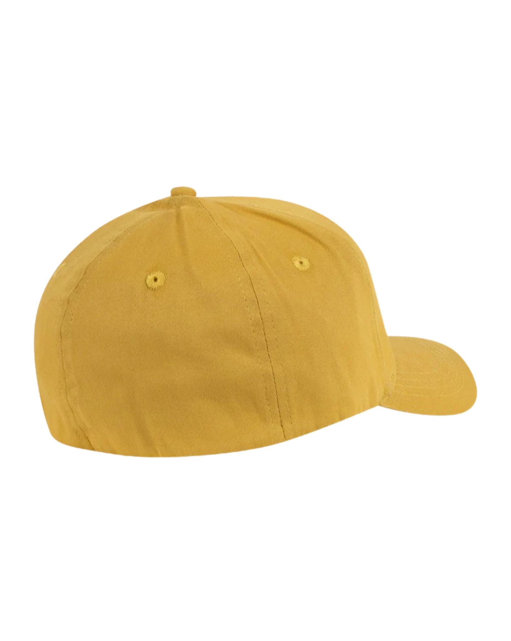 Santa Cruz Classic Dot Patch Stretch Fit Cap