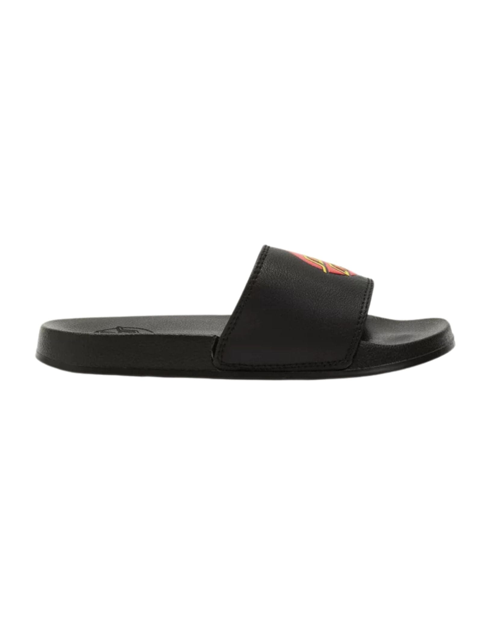 Santa Cruz Classic Dot Slides