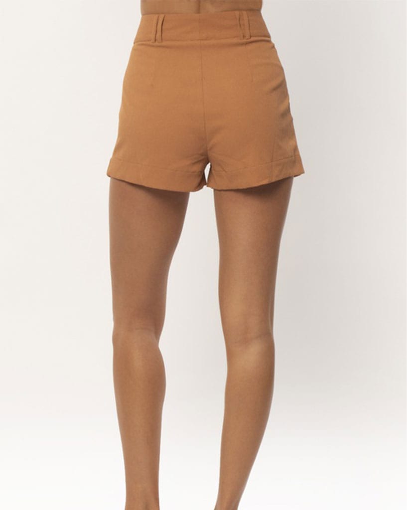 Amuse Society Sydney Woven Shorts